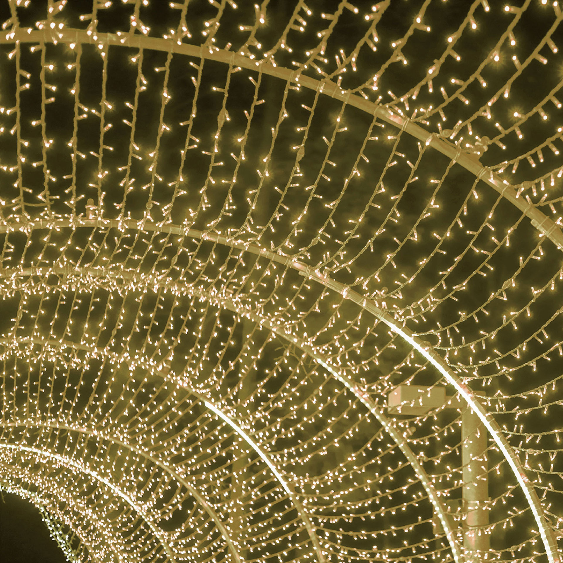 Serie Con Guirnalda Led color blanco cálido
