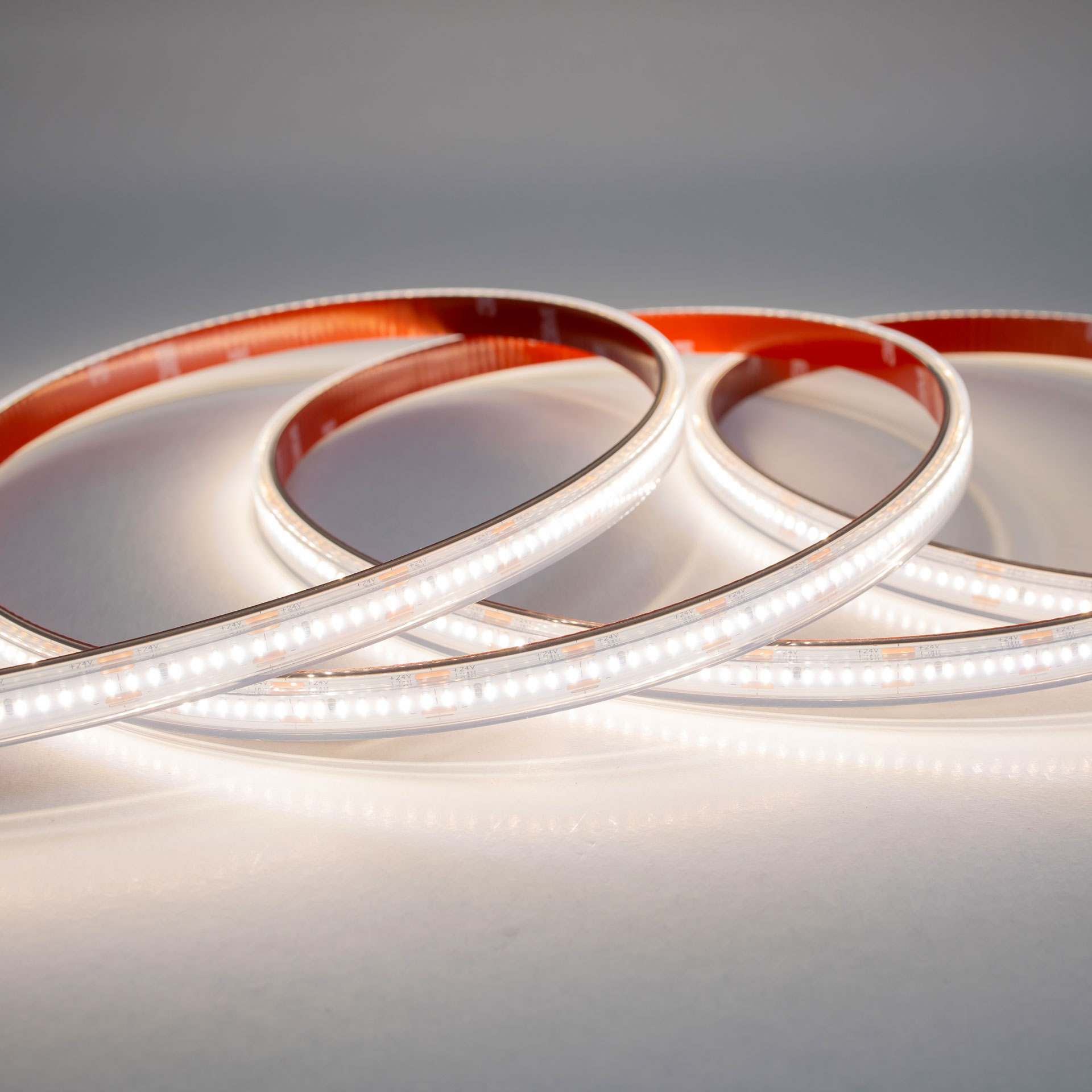 Tira flexible 280 LEDs, 2110 SMD exterior en color blanco neutro