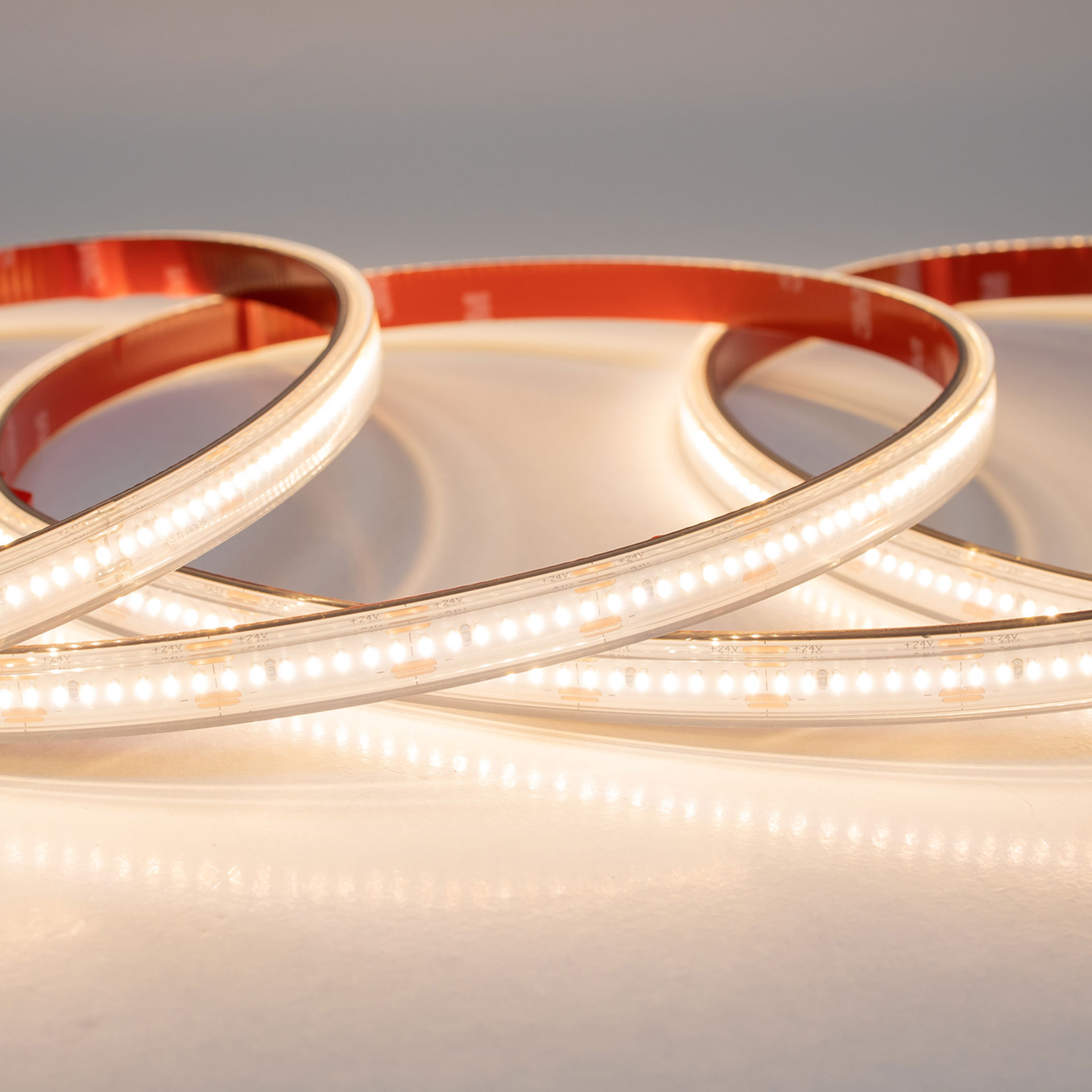 Tira flexible 280 LEDs, 2110 SMD exterior en color blanco cálido