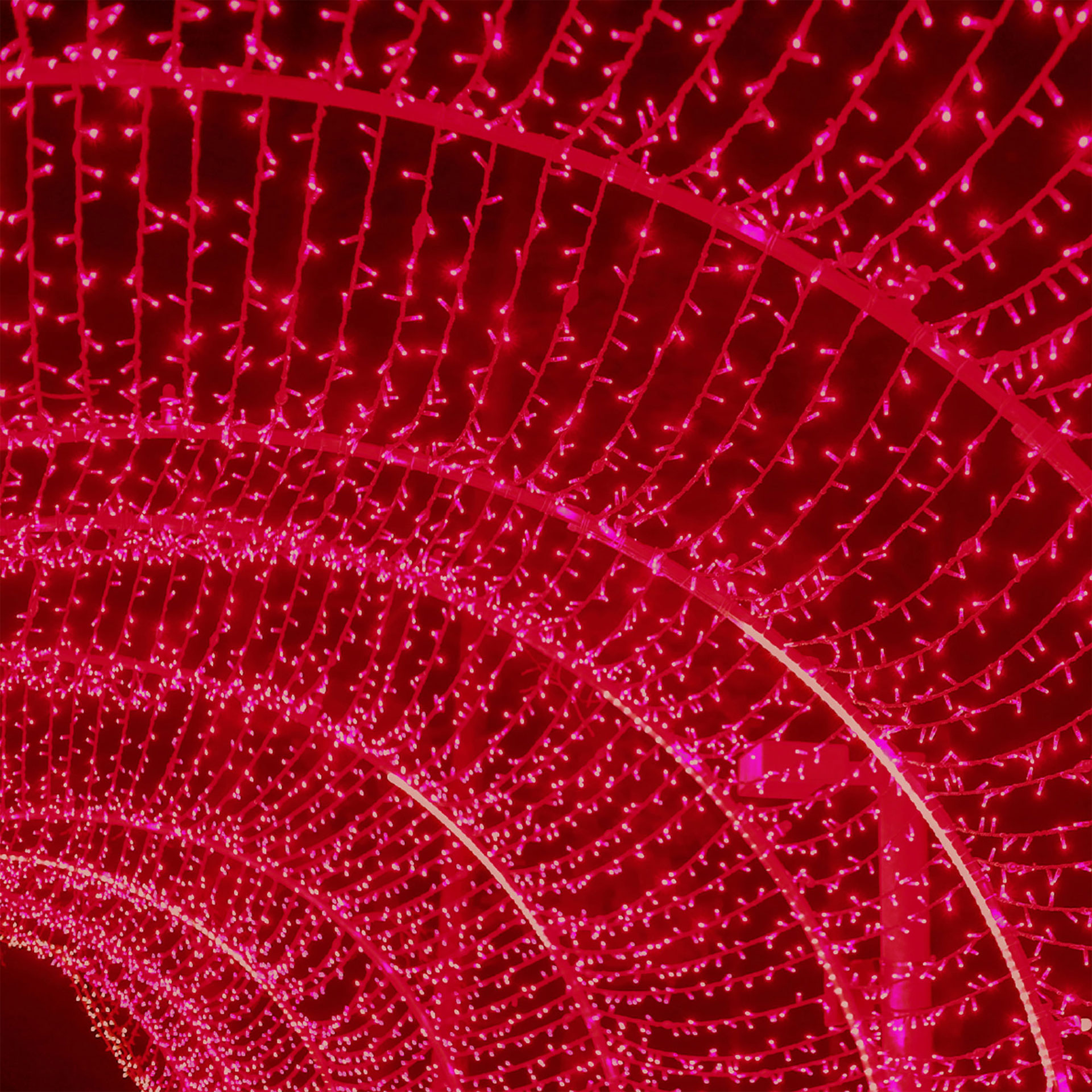 Serie Con Guirnalda Led color rojo