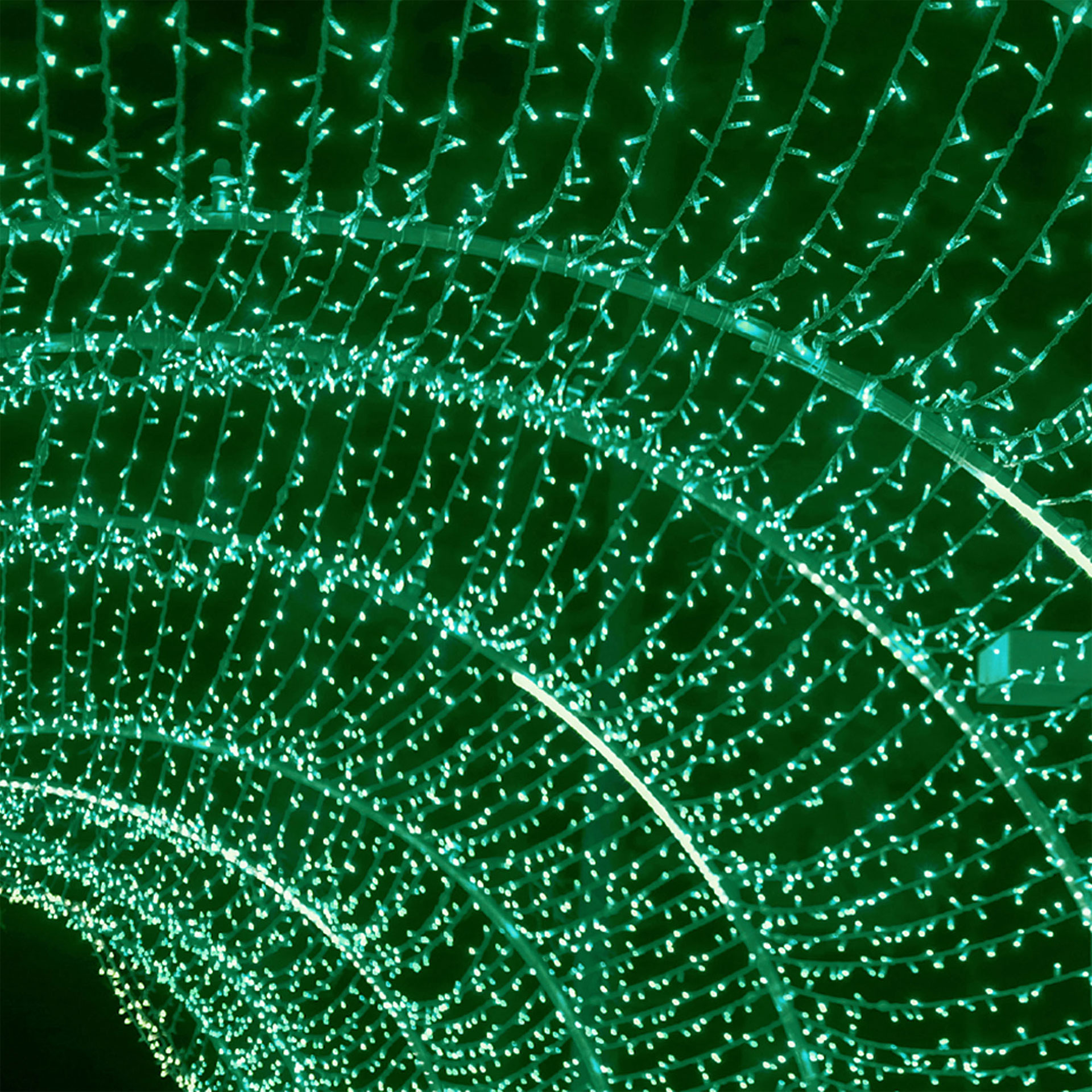 Serie Con Guirnalda Led color verde