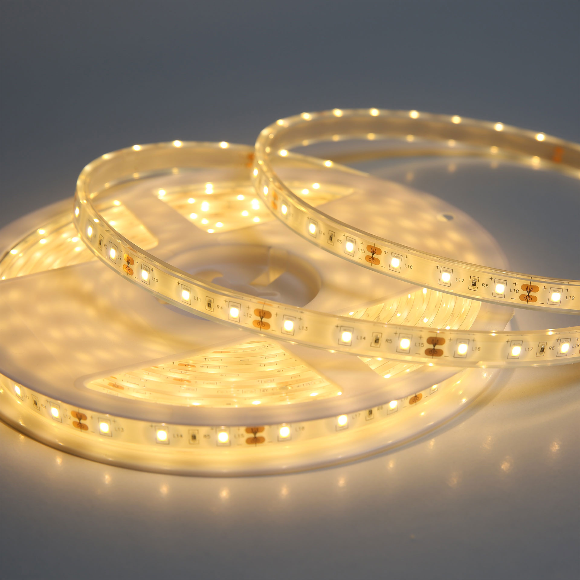 Tira Flexible 60 Leds X Metro, 2835 SMD, Sumergible