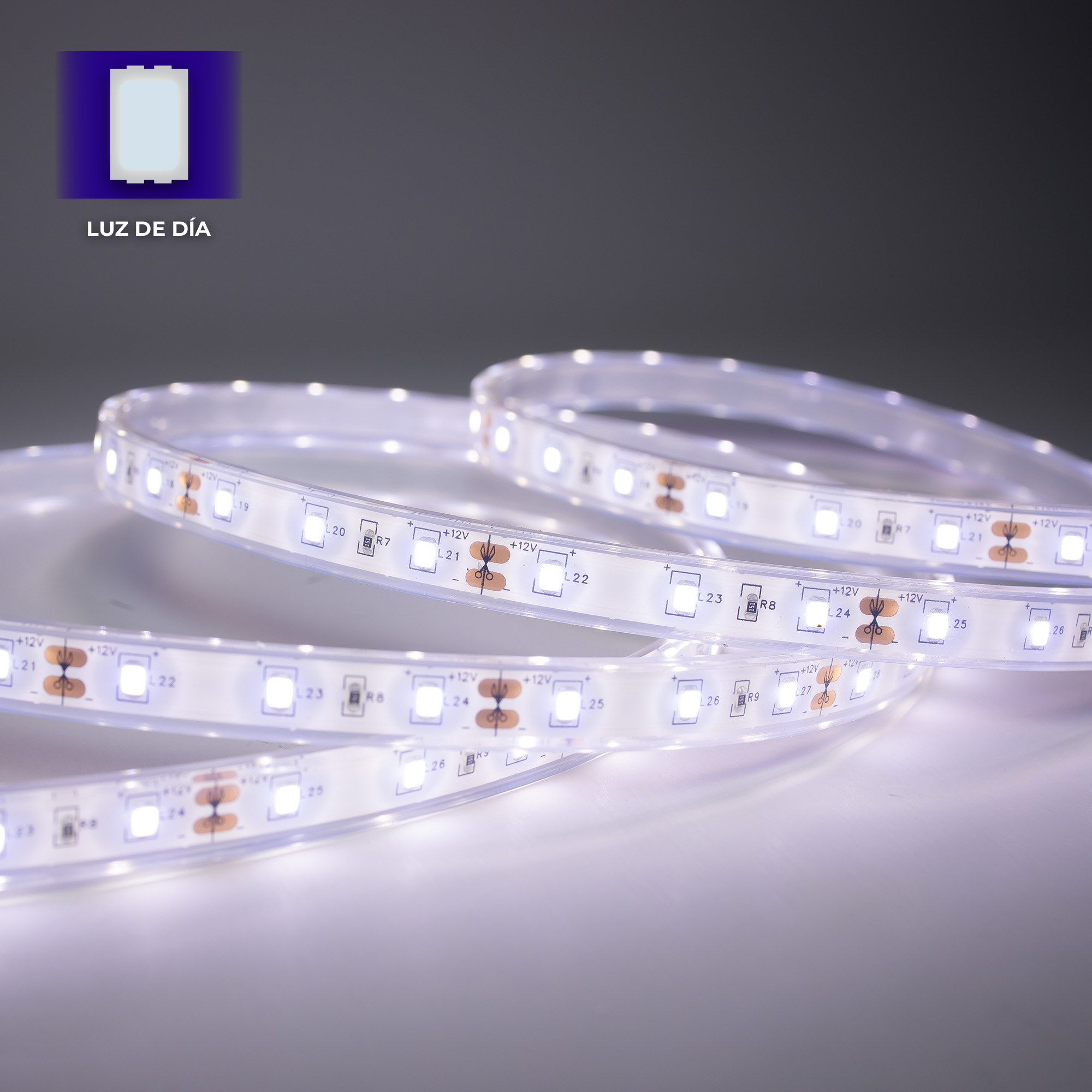 Tira Flexible 60 Leds por Metro, 2835 SMD, Sumergible